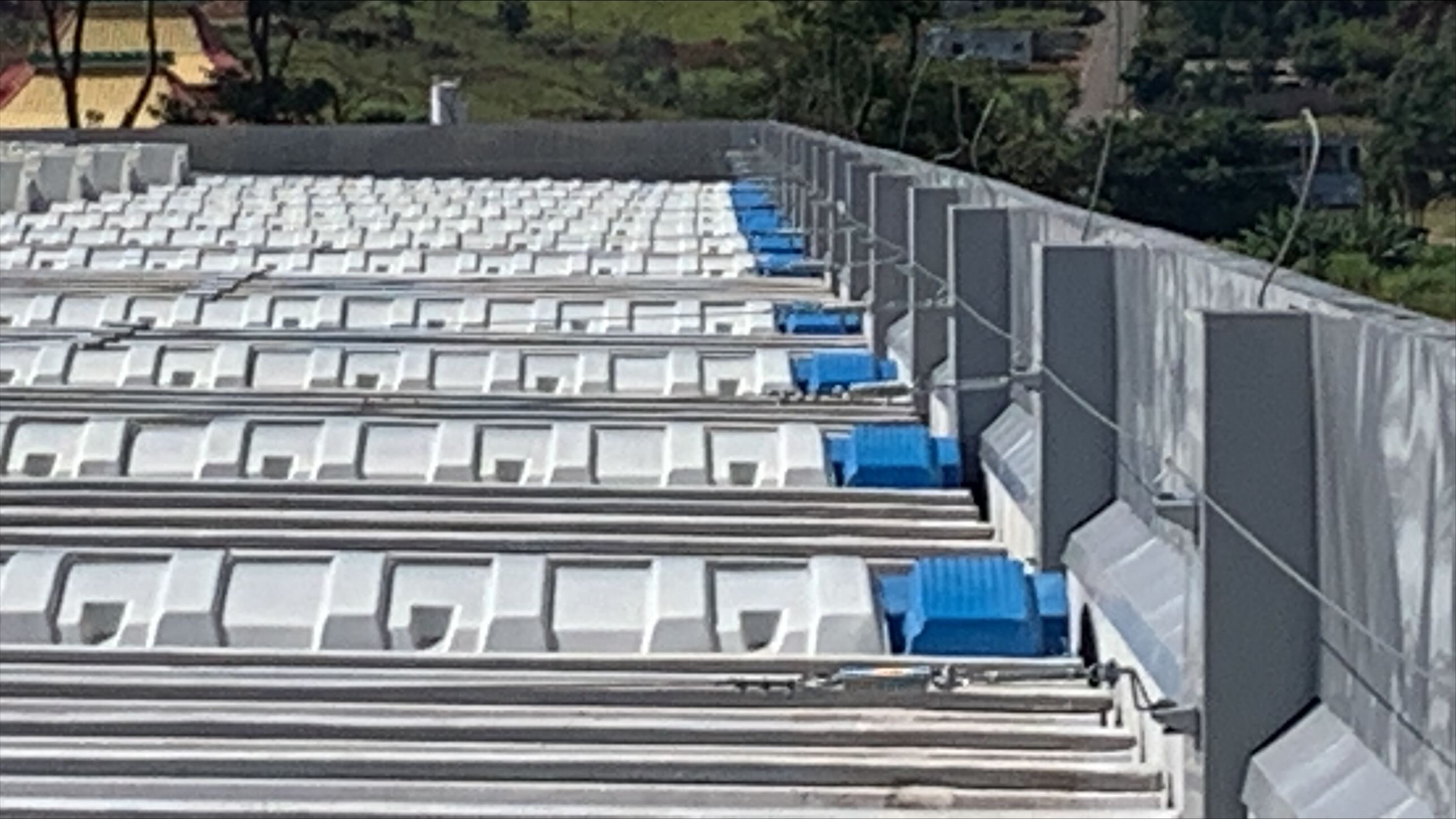 Araco